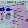 European Drivers License Without Test